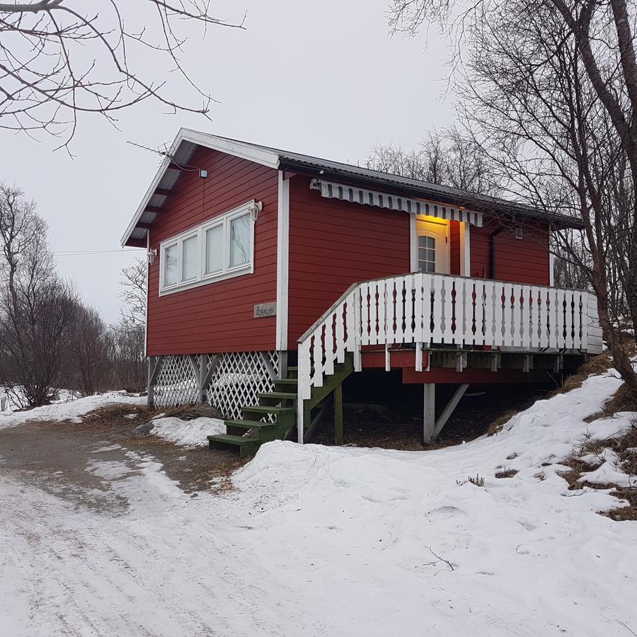 Camp Saltstraumen-Elvegard Hotel Bodø Buitenkant foto