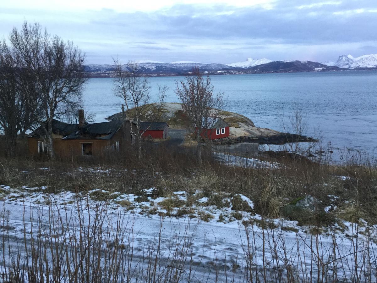 Camp Saltstraumen-Elvegard Hotel Bodø Buitenkant foto