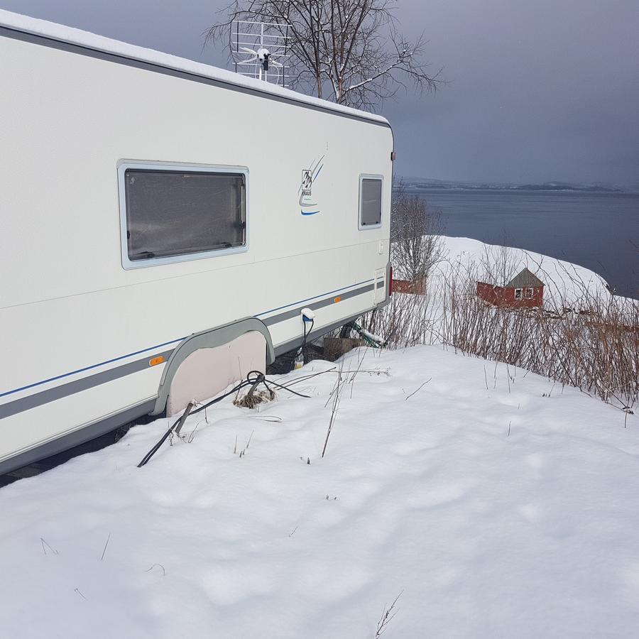 Camp Saltstraumen-Elvegard Hotel Bodø Buitenkant foto