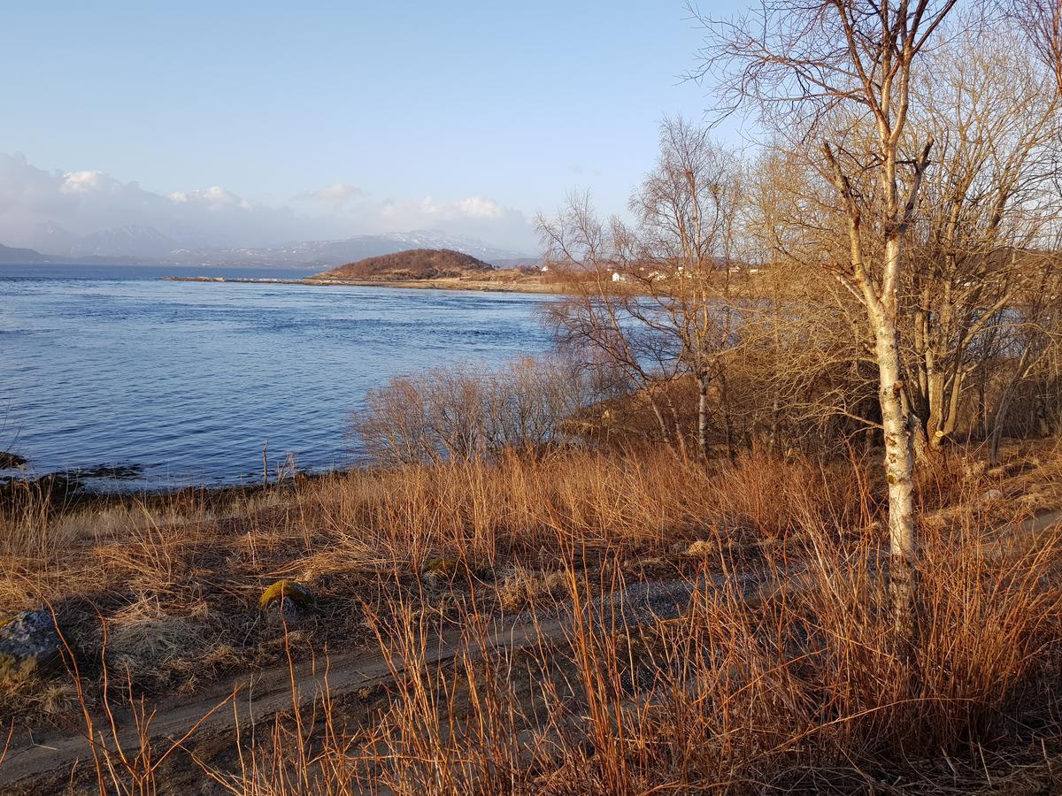 Camp Saltstraumen-Elvegard Hotel Bodø Buitenkant foto
